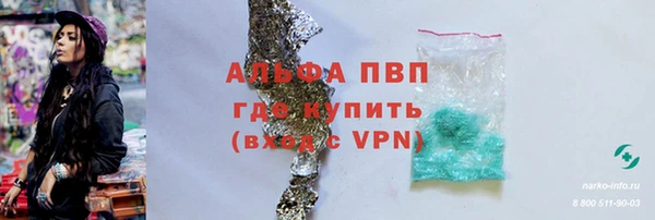 дживик Тутаев