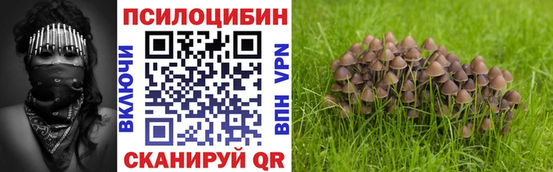 наркошоп  Ясный  Псилоцибиновые грибы Magic Shrooms 